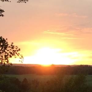 Meet your Posher, Dhane